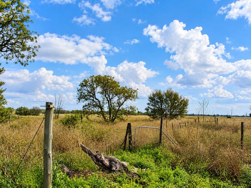 4 Bedroom Property for Sale in Bainsvlei Free State